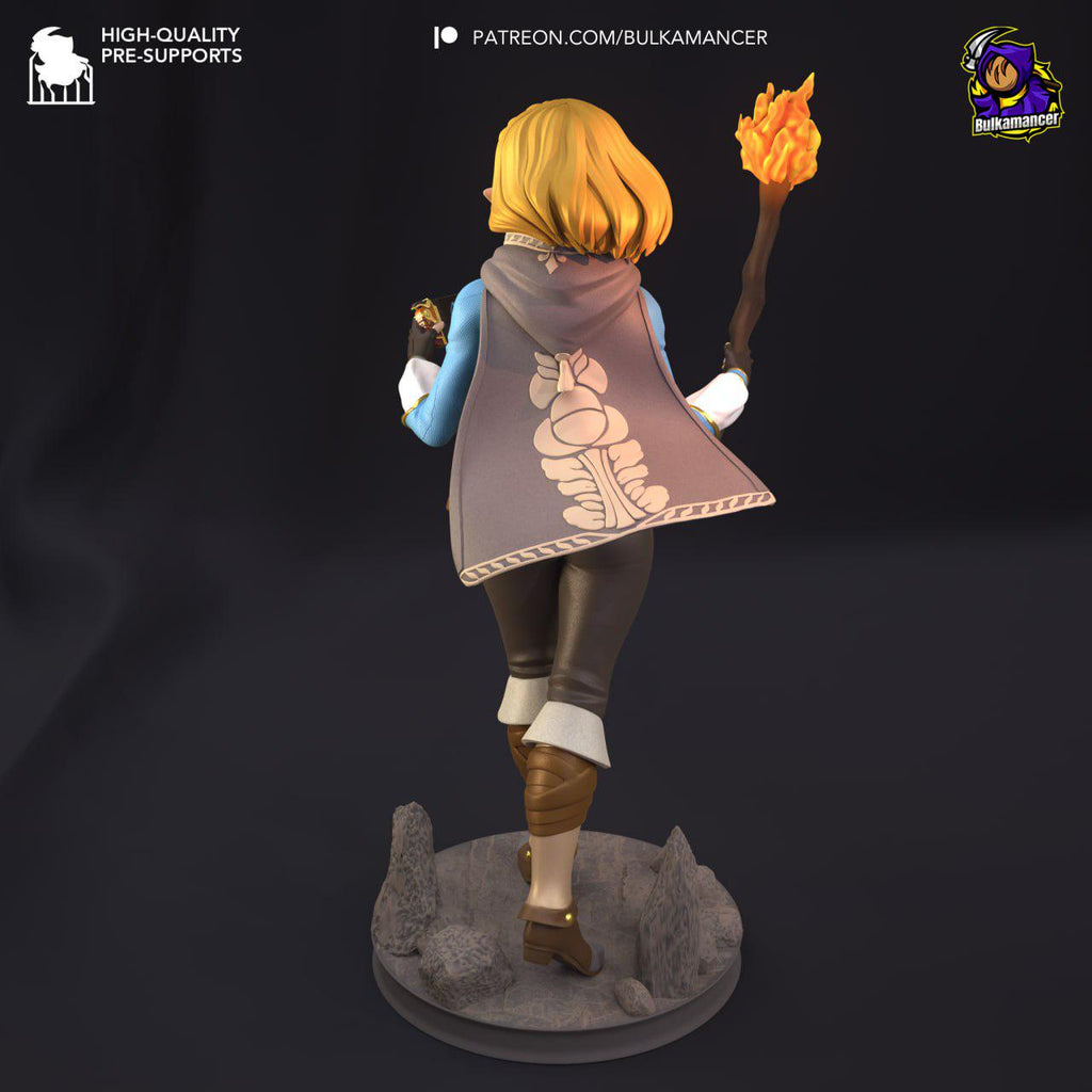 Figure Zelda - The Legend of Zelda - ToTK - 1/6 Scale - Garage Kit